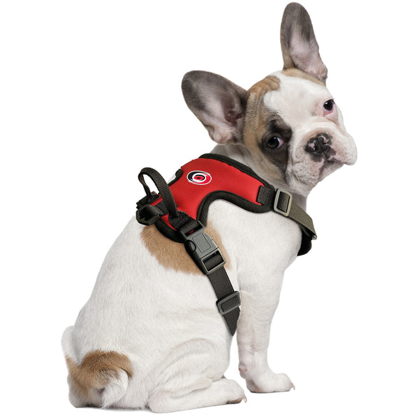 Littlearth Carolina Hurricanes Front Clip Pet Harness