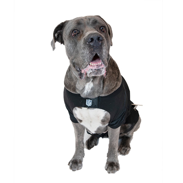 Littlearth Carolina Panthers Big Pet Stretch Jersey