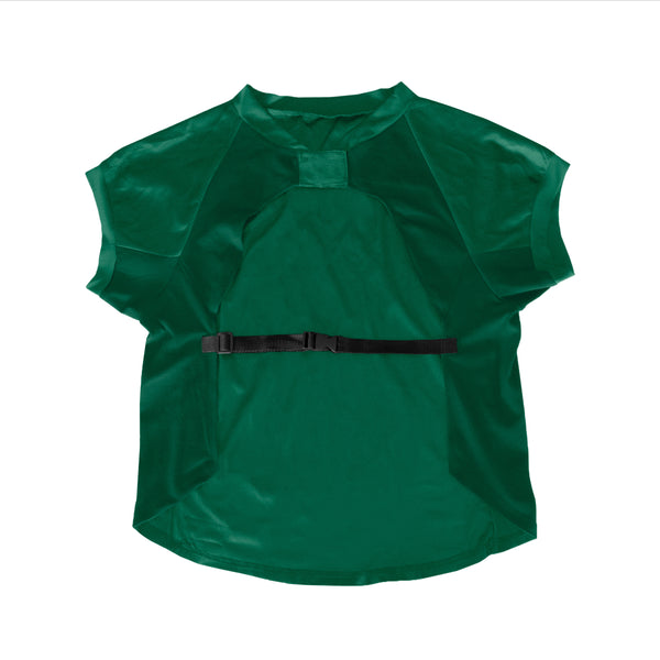 Littlearth Green Bay Packers Big Custom Pet Stretch Jersey