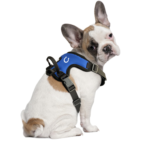 Littlearth Indianapolis Colts Front Clip Pet Harness