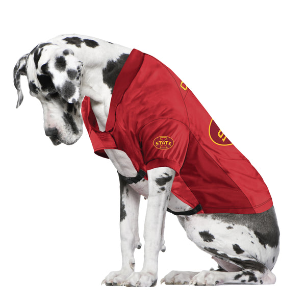 Littlearth Iowa State University Big Pet Stretch Jersey
