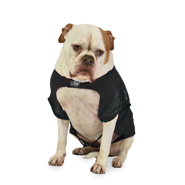 Littlearth Jacksonville Jaguars Big Pet Stretch Jersey