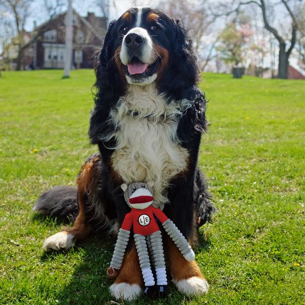 Littlearth Kansas City Chiefs Team Sock Monkey Pet Toy