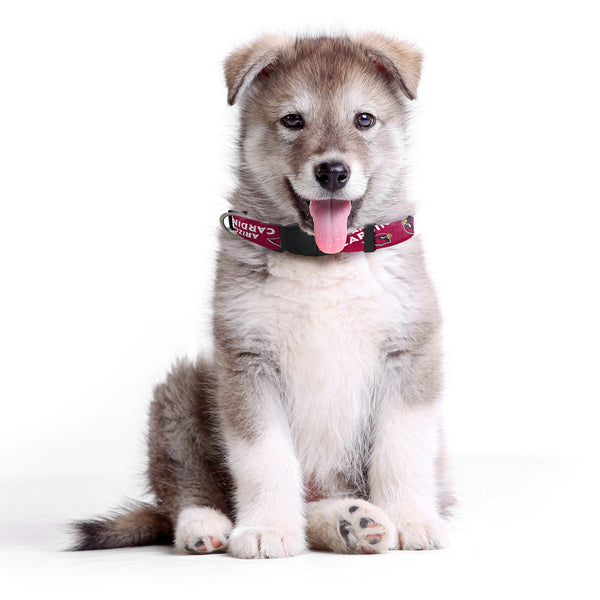 Littlearth Arizona Cardinals Pet Team Collar