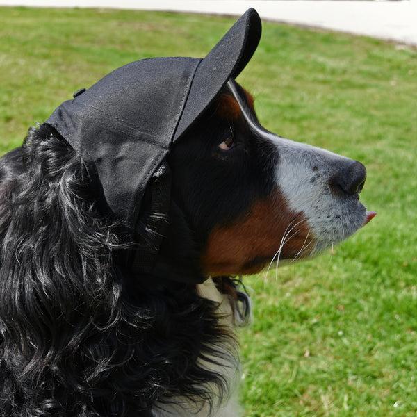 Littlearth Atlanta Falcons Pet Baseball Hat