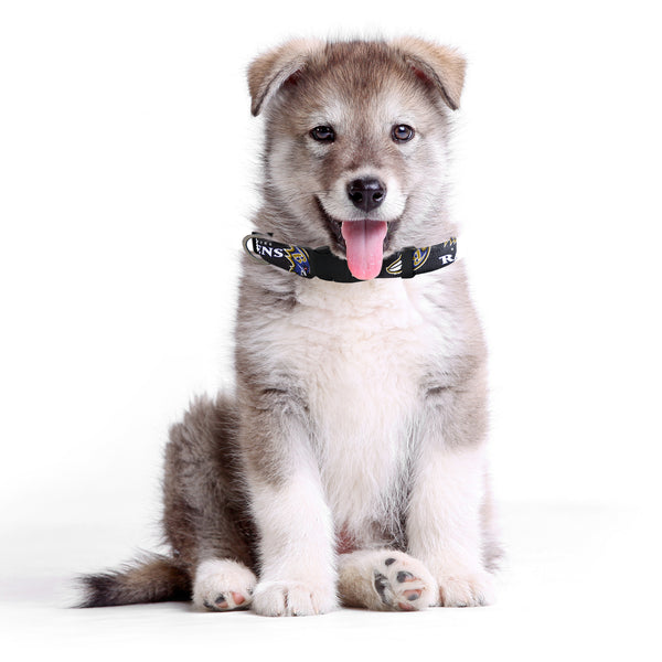 Littlearth Baltimore Ravens Pet Team Collar