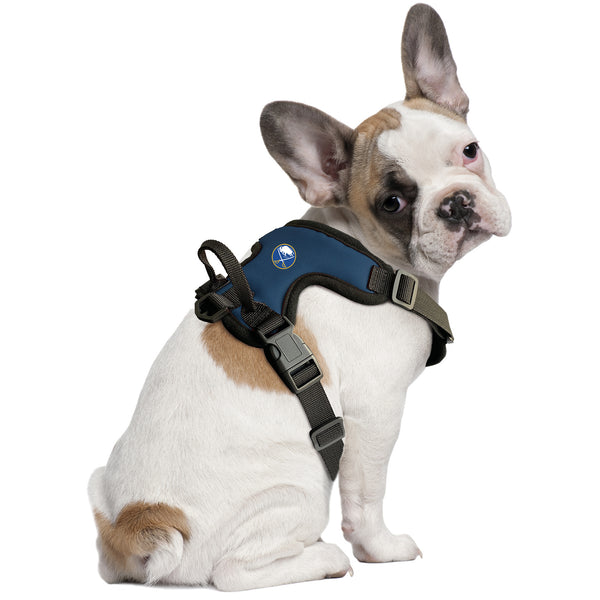 Littlearth Buffalo Sabres Front Clip Pet Harness