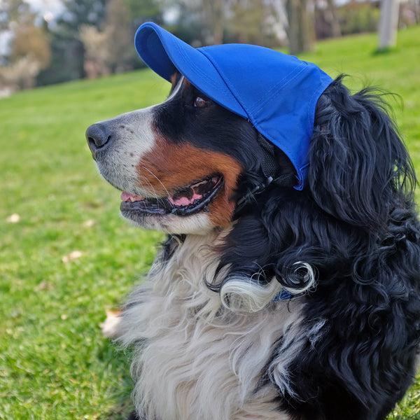 Littlearth Buffalo Sabres Pet Baseball Hat