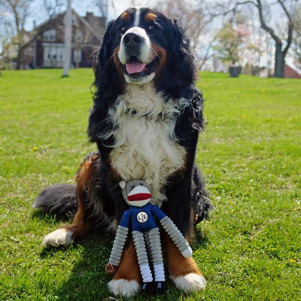 Littlearth Chicago Bears Team Sock Monkey Pet Toy