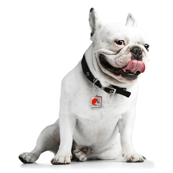 Littlearth Cleveland Browns Pet Collar Charm