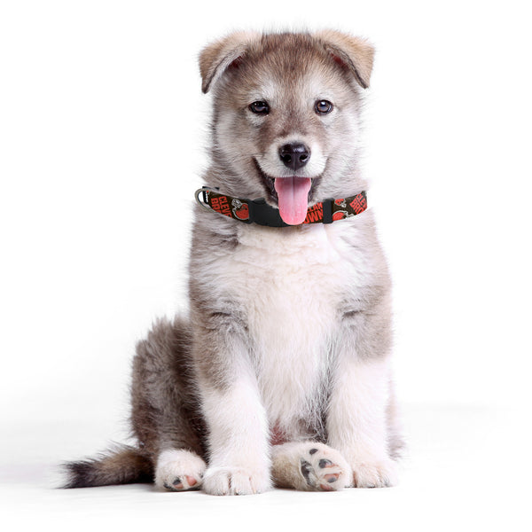 Littlearth Cleveland Browns Pet Team Collar