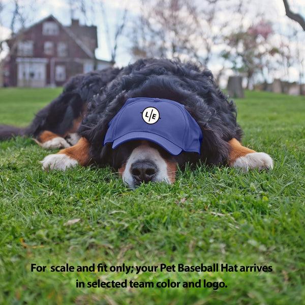 Littlearth Denver Broncos Pet Baseball Hat