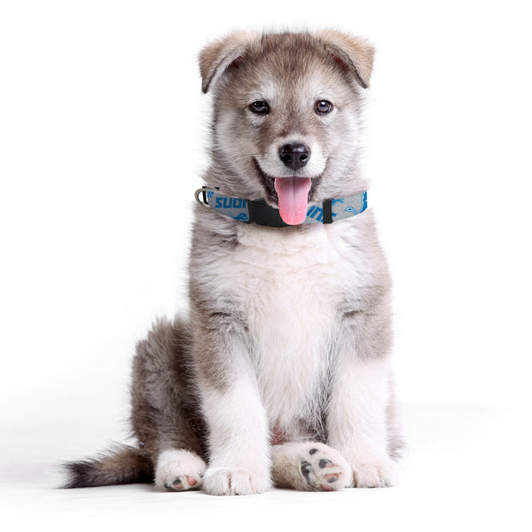 Littlearth Detroit Lions Pet Team Collar