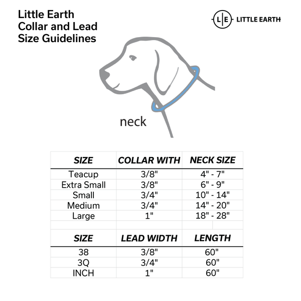 Littlearth Detroit Lions Pet Team Lead