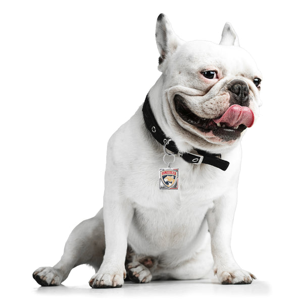 Littlearth Florida Panthers Pet Collar Charm