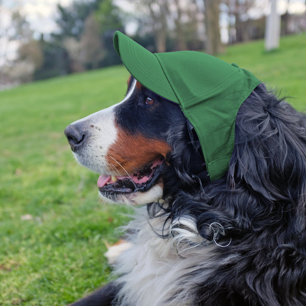 Littlearth Minnesota Wild Pet Baseball Hat