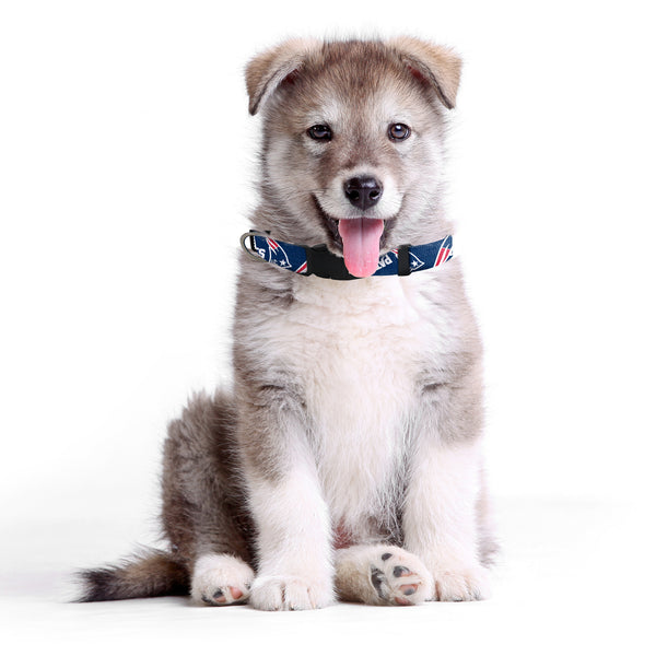 Littlearth New England Patriots Pet Team Collar