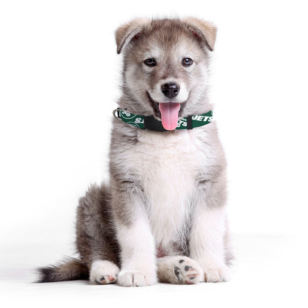 Littlearth New York Jets Pet Team Collar
