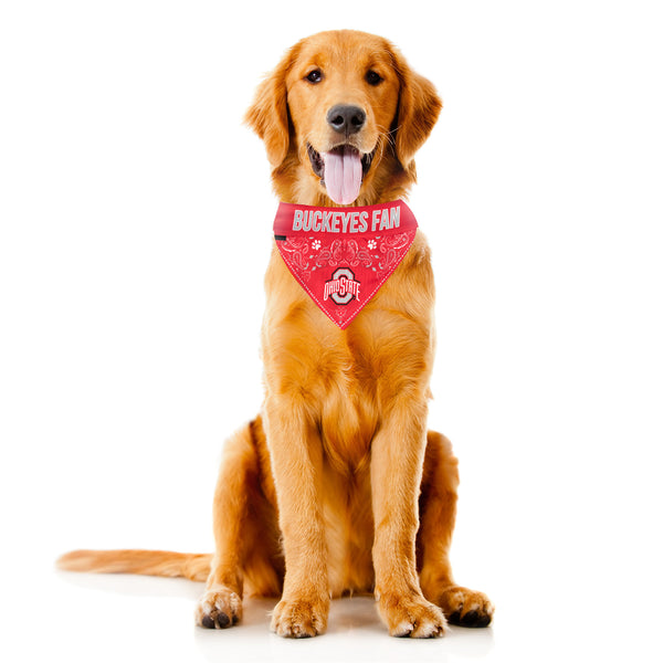 Littlearth Ohio State University Pet Bandana