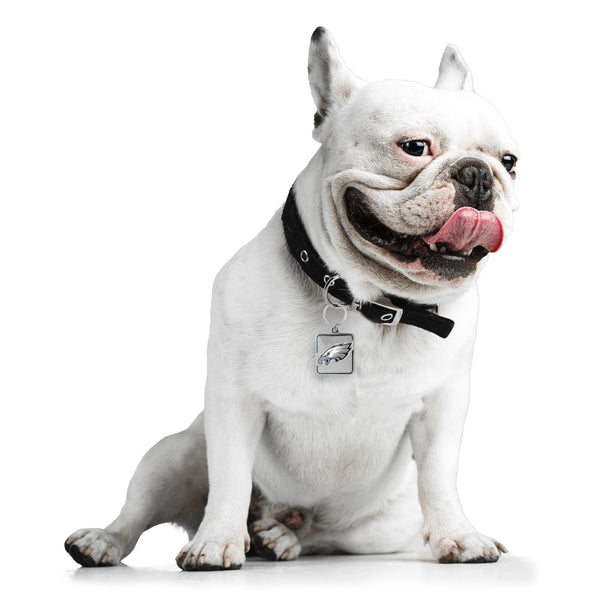 Littlearth Philadelphia Eagles Pet Collar Charm