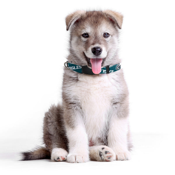 Littlearth Philadelphia Eagles Pet Team Collar