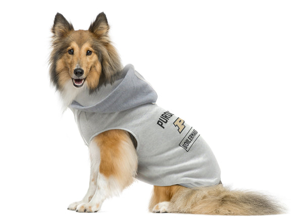 Littlearth Purdue University Pet Hooded Crewneck