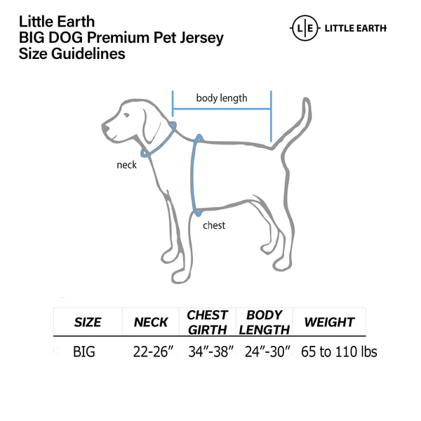 Littlearth Seattle Seahawks Big Pet Premium Jersey