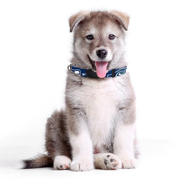 Littlearth Seattle Seahawks Pet Team Collar