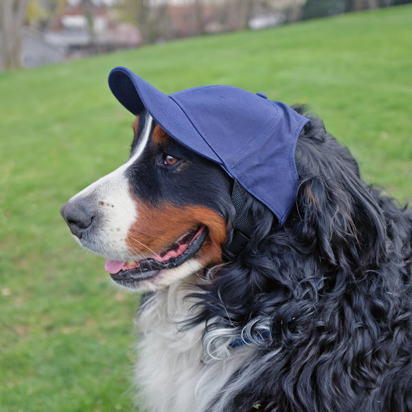 Littlearth Toronto Maple Leafs Pet Baseball Hat