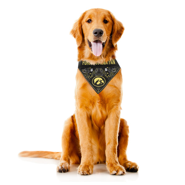 Littlearth University Of Iowa Pet Bandana