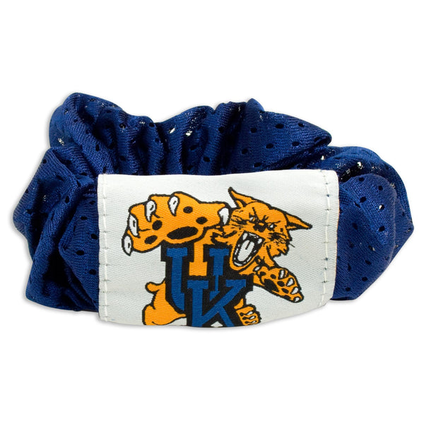 littlearth University of Kentucky Hair Twist