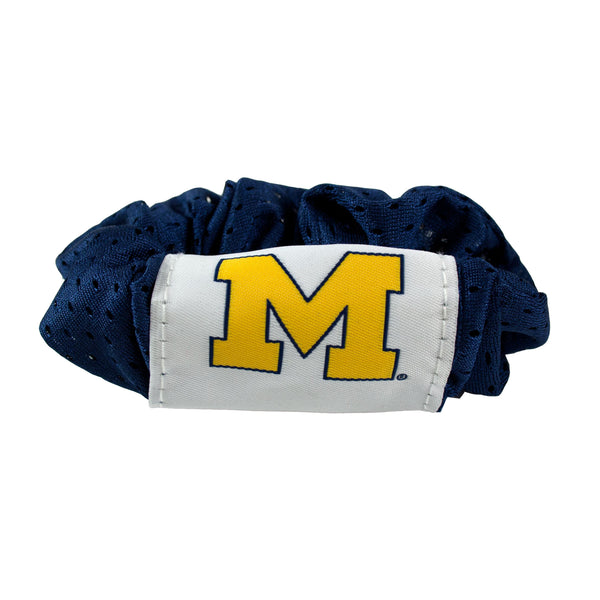 littlearth University of Michigan Hair Twist