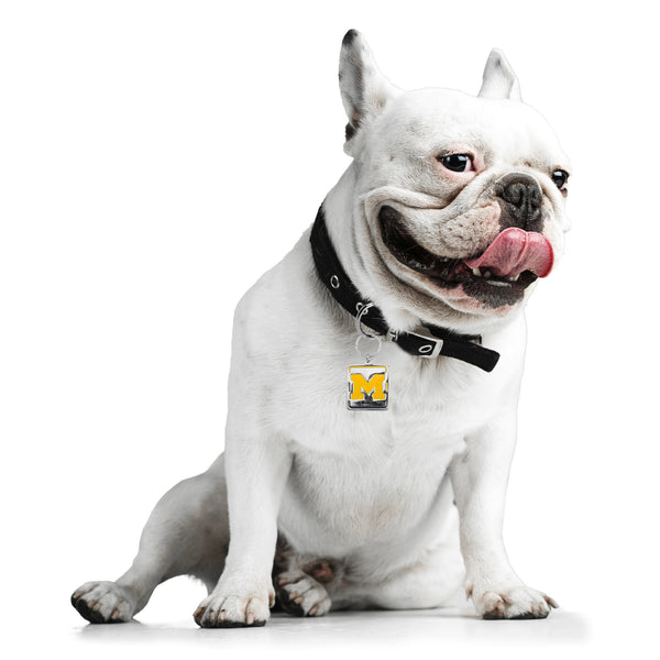 Littlearth University Of Michigan Pet Collar Charm