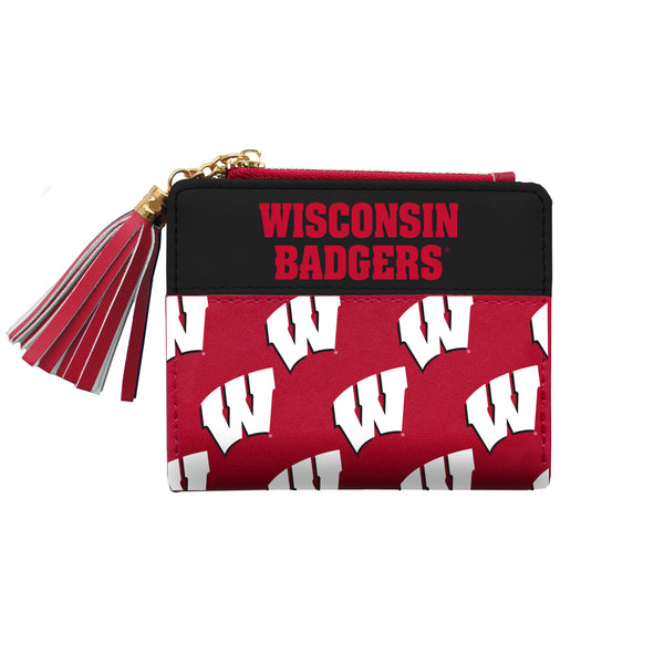 littlearth University of Wisconsin Mini Organizer