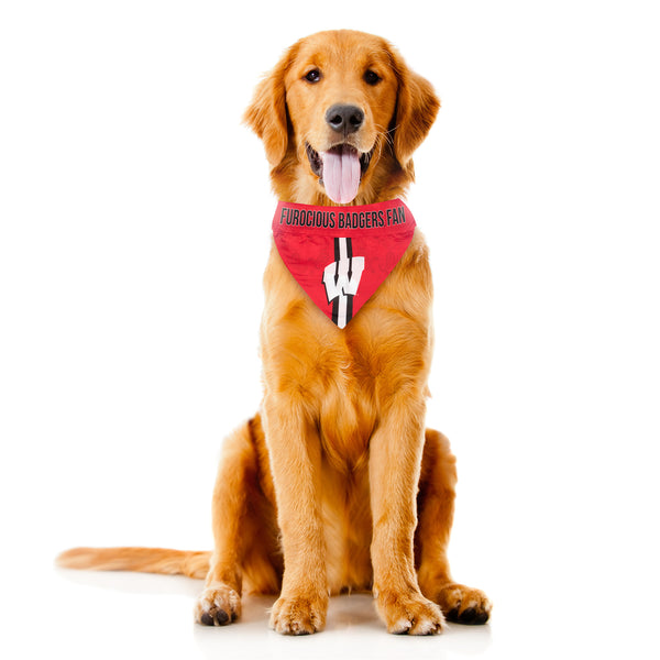 Littlearth University Of Wisconsin Pet Bandana
