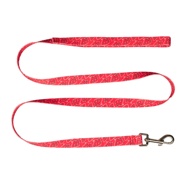 littlearth University of Wisconsin Pet Team Lead