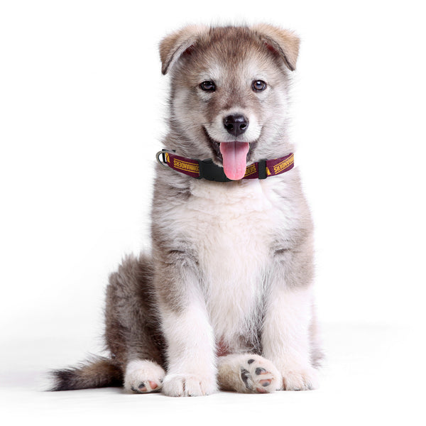 Littlearth Washington Commanders Pet Team Collar