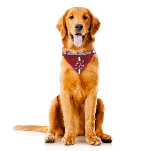 Littlearth Washington State University Pet Bandana