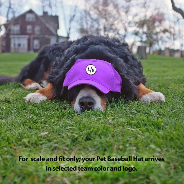 Littlearth Louisiana State University Pet Baseball Hat