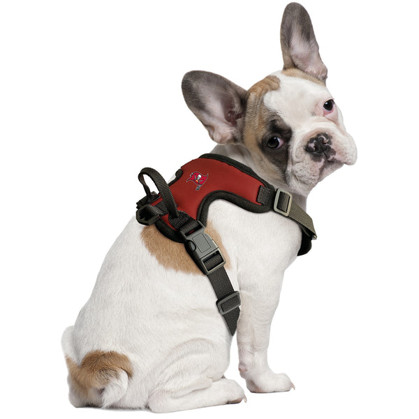 Littlearth Tampa Bay Buccaneers Front Clip Pet Harness
