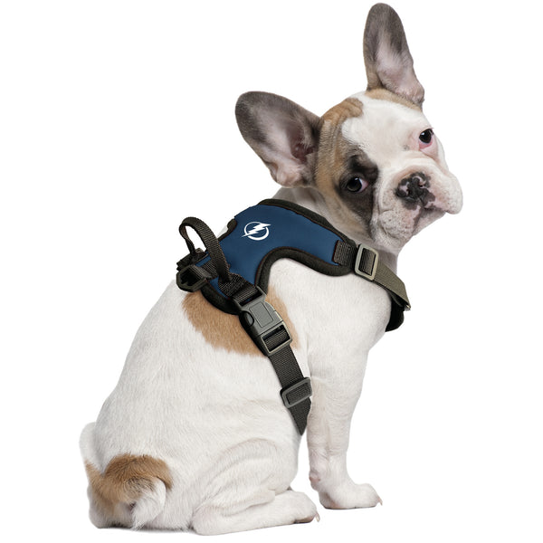 Littlearth Tampa Bay Lightning Front Clip Pet Harness
