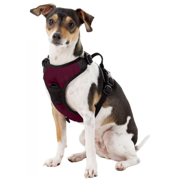 Littlearth Texas A & M University Front Clip Pet Harness