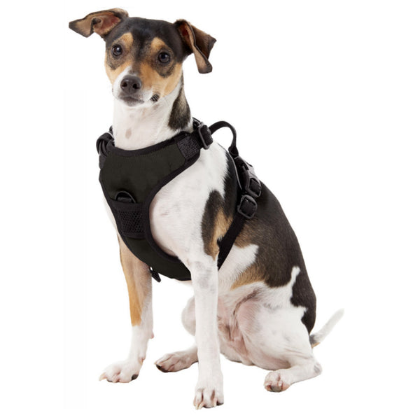 Littlearth Texas Christian University Front Clip Pet Harness