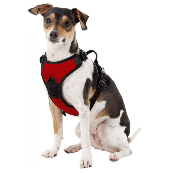 Littlearth University Of Georgia Front Clip Pet Harness