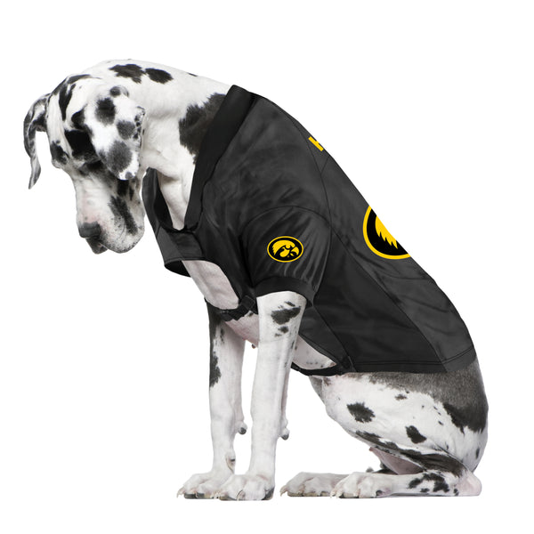Littlearth University Of Iowa Big Pet Stretch Jersey