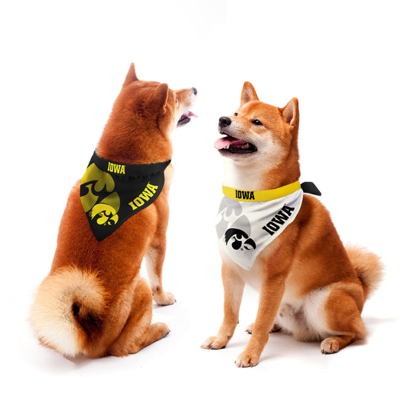 littlearth University of Iowa Home and Away Pet Bandana Set