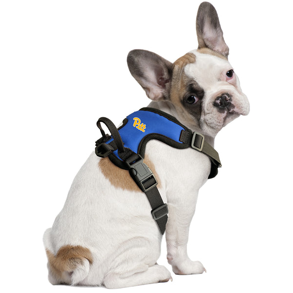 Littlearth University Of Pittsburgh Front Clip Pet Harness