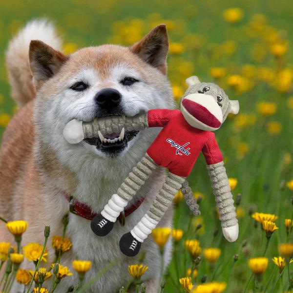 Littlearth Washington Capitals Team Sock Monkey Pet Toy