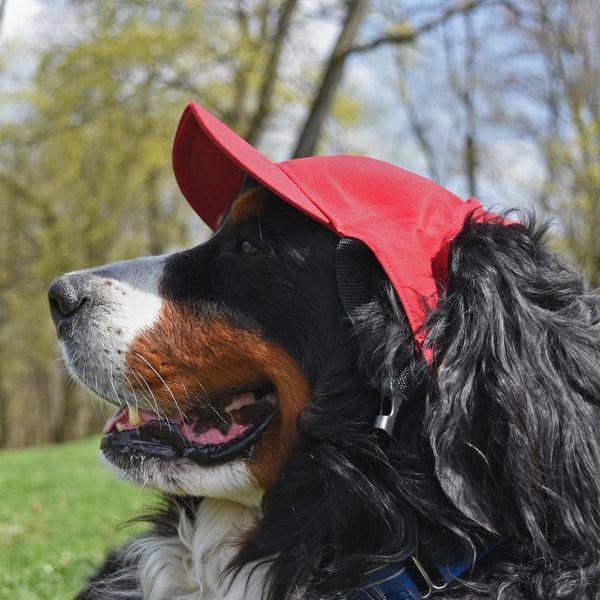 Littlearth Washington State University Pet Baseball Hat